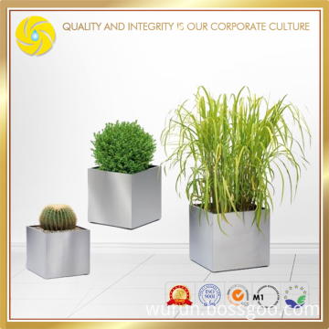 Stainless Types Of Ornamental Plants Garden Decoration Pots Flower